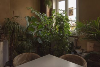 About Plants bvba (30)